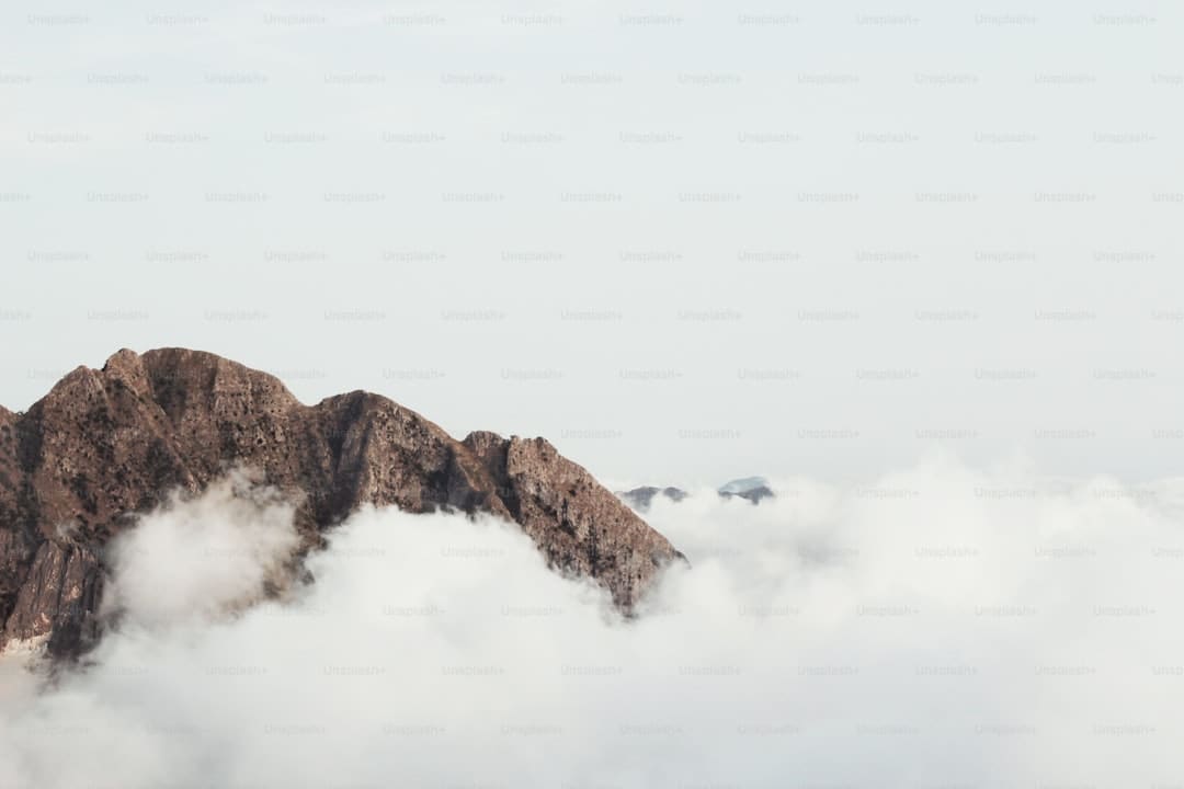 泉港区开设公益暑托班 引导孩子们安全高兴过暑假